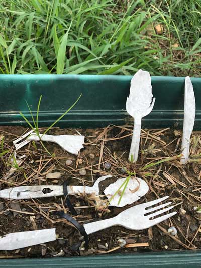 plant-based plastic 1